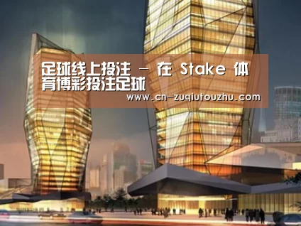 案例展示三