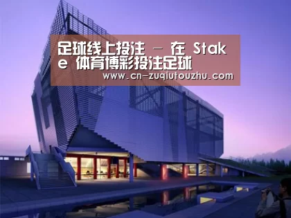 案例展示六