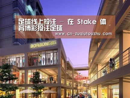 案例展示一